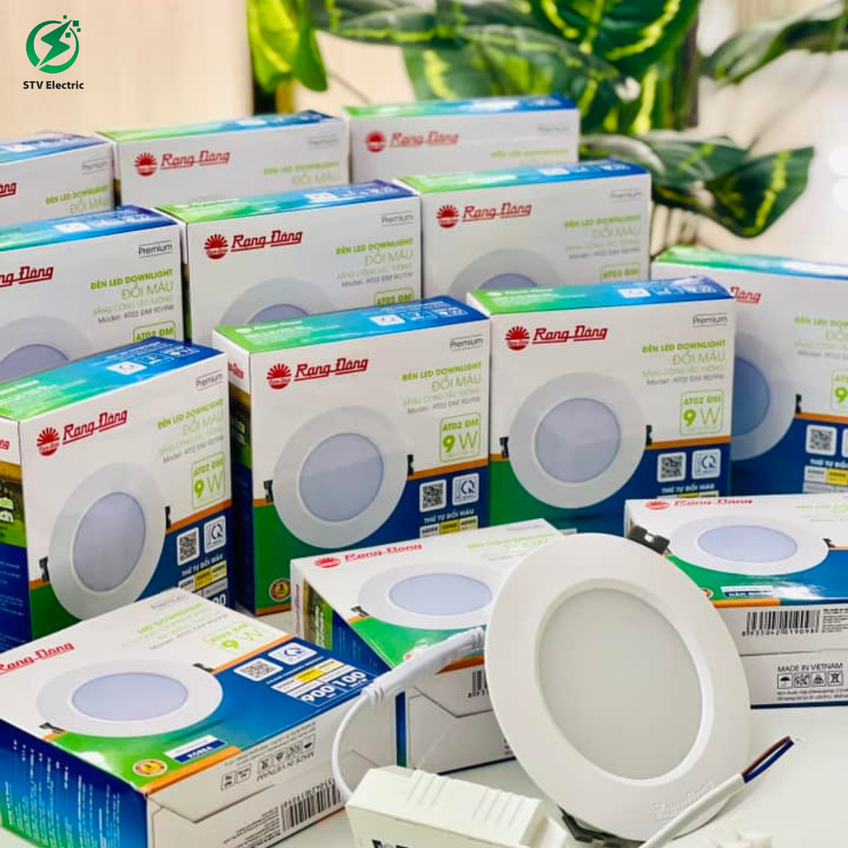 đèn led rạng đông